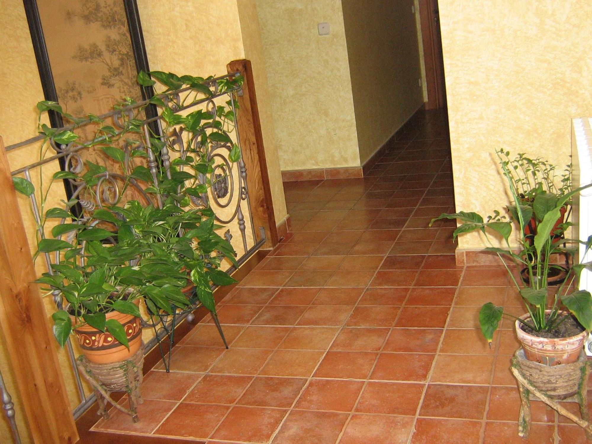 Hotel Rural El Museo Cedillo de la Torre Extérieur photo